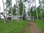 green_and_white