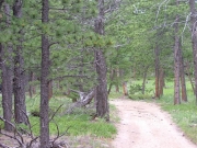 mellow_trail