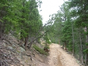 narrow_trail