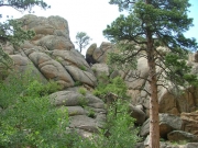 sean_climbing_miller_rock