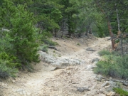 climbing