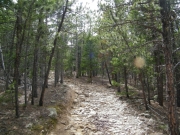 down_to_the_camp