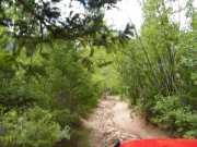 early_trail