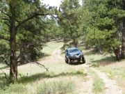katie_on_the_trail