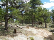 small_ledges