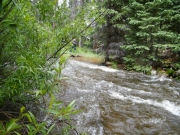 st_vrain_creek