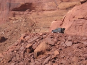 bob_on_the_trail