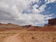 near_white_rim