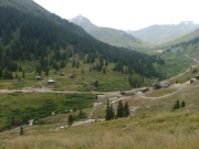 animas_forks