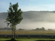 early_morning_fog
