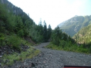 early_trail