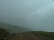 foggy_trail