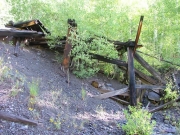 old_wood