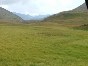 scenery