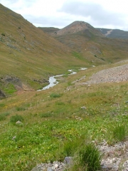 stream