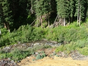 uncompahgre_river