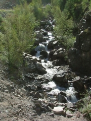 mineral_creek
