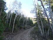 aspens_part_1