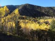 aspens_part_3
