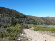 back_to_the_trailhead