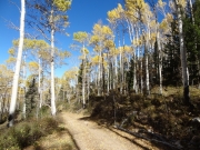 easy_trail