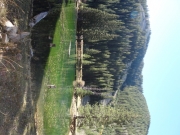 lake_part_3