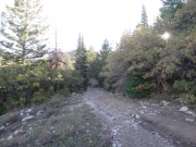mellow_trail