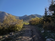 morning_scenery