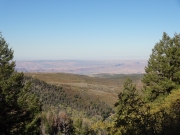 pinhook_valley