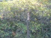 trailhead_sign_1