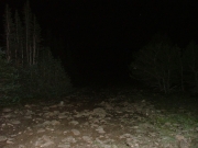 dark_trail