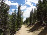 back_to_the_trailhead