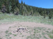 camping_spot