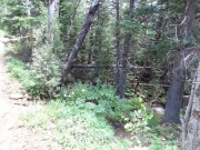 creekside