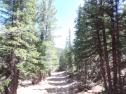 down_the_rocky_hill_part_5