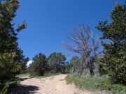 miners_hill_part_2