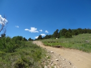 miners_hill_part_6