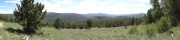 mountain_view