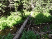 north_clear_creek