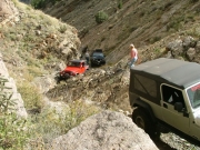 jeeps