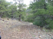 mellow_trail