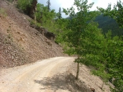 early_trail