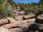 early_climb
