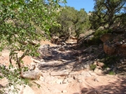 start_of_the_trail