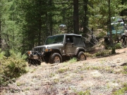 bill_on_the_trail