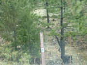 forest_service_sign