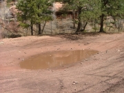 optional_puddle