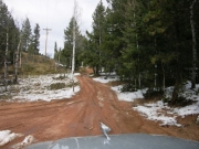 early_trail