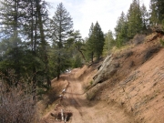 narrow_trail