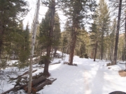 snow_on_the_trail
